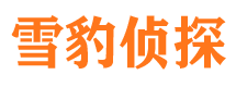 临沧捉小三公司